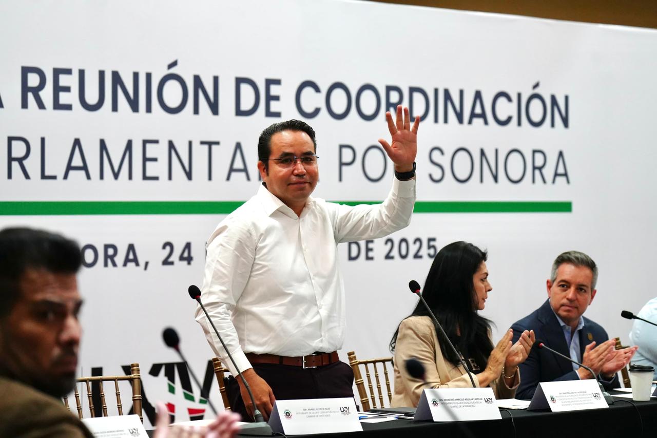 Desde el Senado